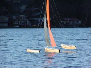t50 tri